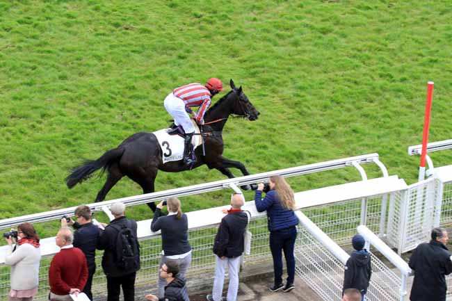 Photo d'arrivée de la course pmu PRIX AMADOU à AUTEUIL le Samedi 29 avril 2017