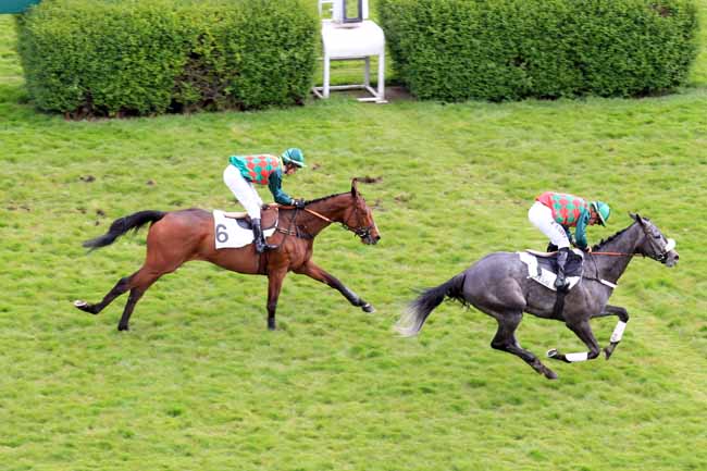 Photo d'arrivée de la course pmu PRIX JEAN STERN à AUTEUIL le Samedi 29 avril 2017