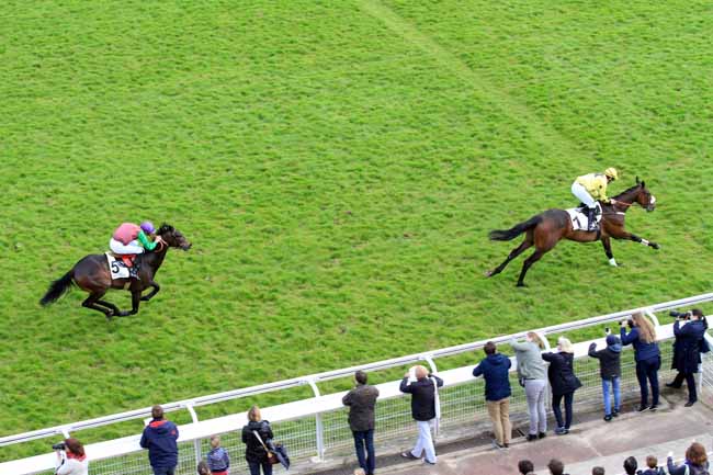 Photo d'arrivée de la course pmu PRIX WILD MONARCH à AUTEUIL le Samedi 29 avril 2017
