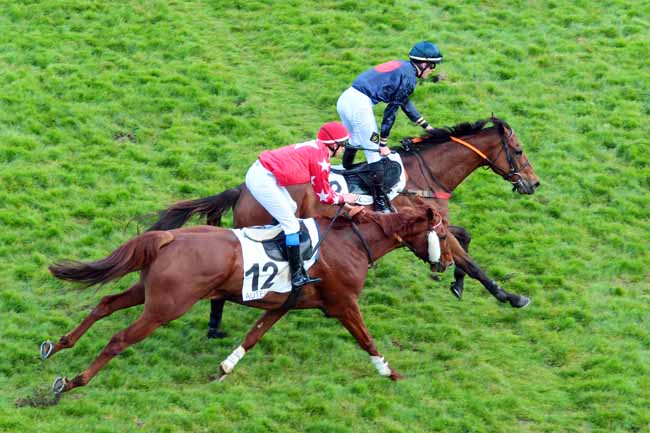 Photo d'arrivée de la course pmu PRIX ROGER DUCHENE - GRAND PRIX DES JEUNES JOCKEYS à AUTEUIL le Samedi 29 avril 2017