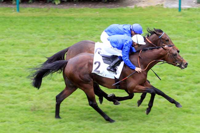 Photo d'arrivée de la course pmu PRIX DE BRICHEBAY à CHANTILLY le Dimanche 30 avril 2017