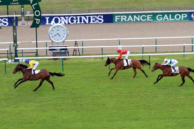 Photo d'arrivée de la course pmu PRIX DE BARBEVILLE à CHANTILLY le Dimanche 30 avril 2017