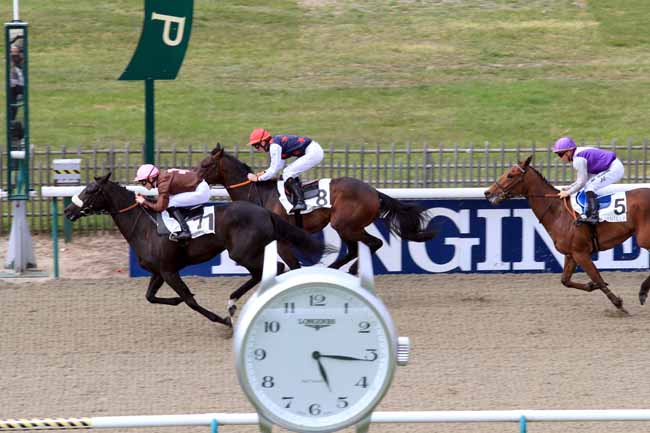 Photo d'arrivée de la course pmu PRIX DU PAVE DE THIERS à CHANTILLY le Dimanche 30 avril 2017