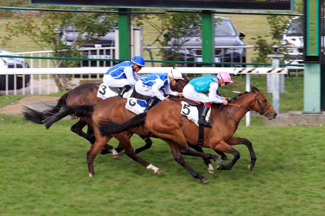 Photo d'arrivée de la course pmu PRIX DES ORFEVRES à SAINT-CLOUD le Lundi 1 mai 2017