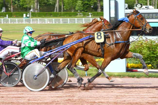 Photo d'arrivée de la course pmu PRIX DU PONT ALEXANDRE III à ENGHIEN le Lundi 1 mai 2017