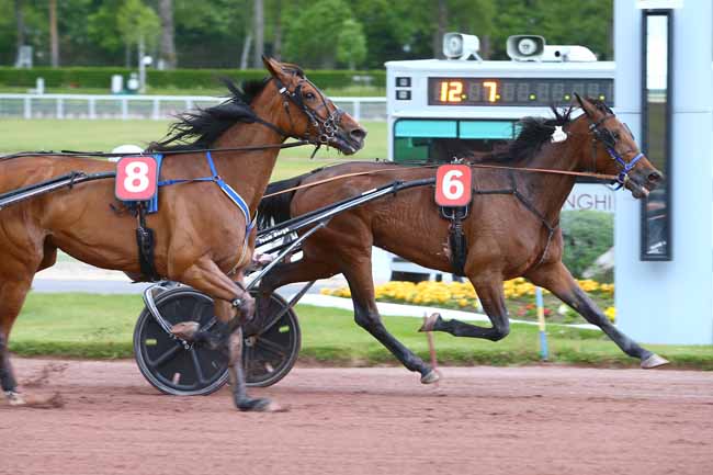 Photo d'arrivée de la course pmu PRIX DE MILLAU à ENGHIEN le Lundi 1 mai 2017