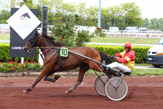 Photo d'arrivée de la course pmu PRIX DE TOULOUSE à LYON LA SOIE le Mercredi 3 mai 2017