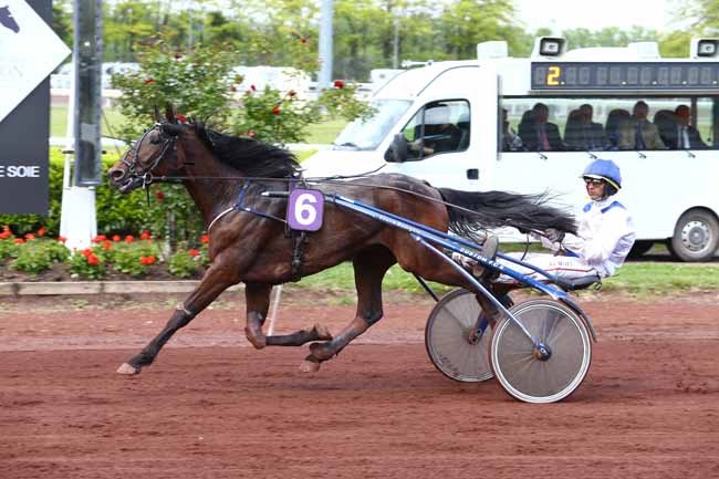 Photo d'arrivée de la course pmu PRIX DE BORDEAUX à LYON LA SOIE le Mercredi 3 mai 2017