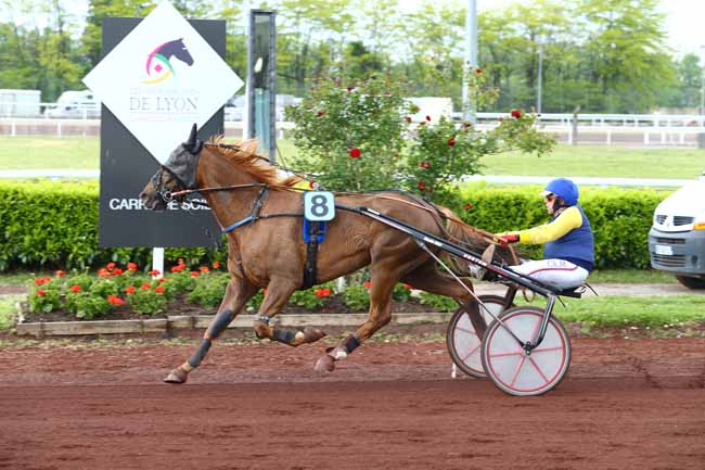 Photo d'arrivée de la course pmu PRIX DE NANTES à LYON LA SOIE le Mercredi 3 mai 2017