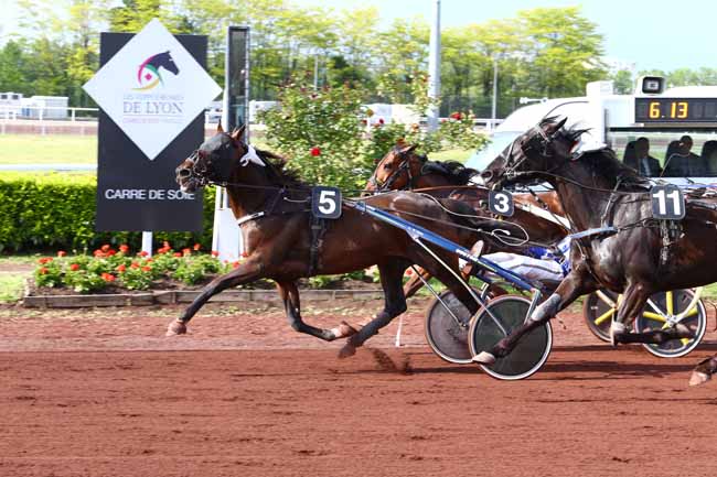 Photo d'arrivée de la course pmu PRIX HENRI CALLIER à LYON LA SOIE le Mercredi 3 mai 2017