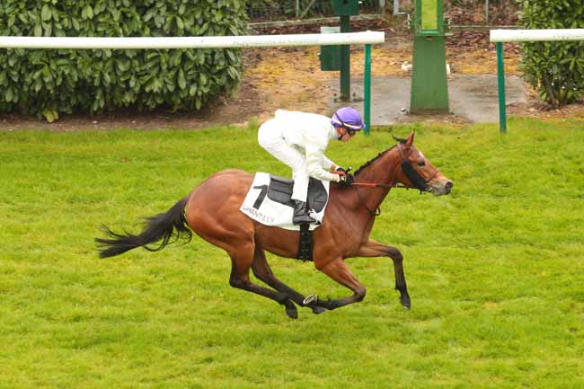 Photo d'arrivée de la course pmu PRIX DU VIADUC DE COMMELLES à CHANTILLY le Mercredi 3 mai 2017