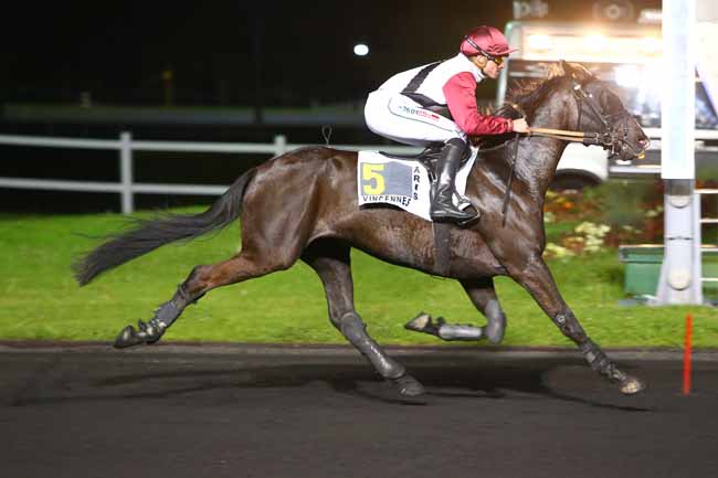 Photo d'arrivée de la course pmu PRIX FABRICIUS à PARIS-VINCENNES le Vendredi 5 mai 2017