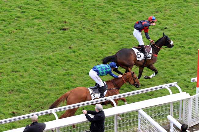 Photo d'arrivée de la course pmu GRANDE COURSE DE HAIES DE PRINTEMPS à AUTEUIL le Vendredi 5 mai 2017