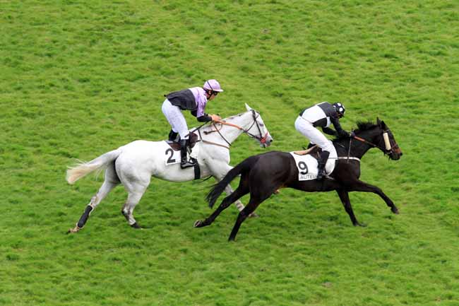 Photo d'arrivée de la course pmu PRIX MAUBOURGUET à AUTEUIL le Vendredi 5 mai 2017