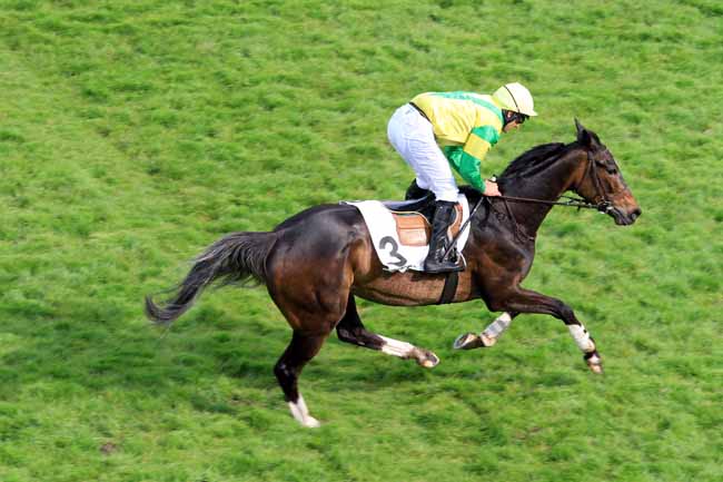 Photo d'arrivée de la course pmu PRIX PANSA à AUTEUIL le Vendredi 5 mai 2017