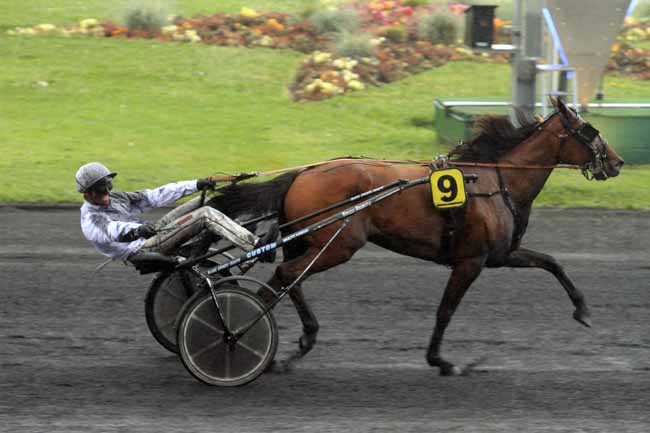 Photo d'arrivée de la course pmu CRITERIUM DES 4 ANS à PARIS-VINCENNES le Samedi 6 mai 2017