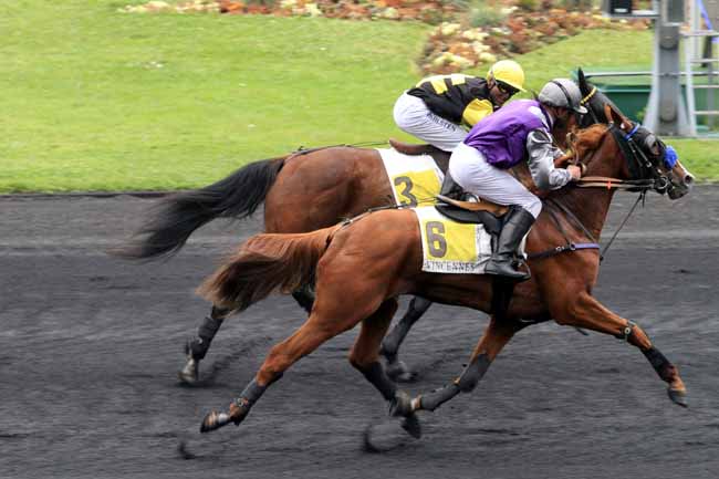 Photo d'arrivée de la course pmu PRIX D'ARPAJON à PARIS-VINCENNES le Samedi 6 mai 2017