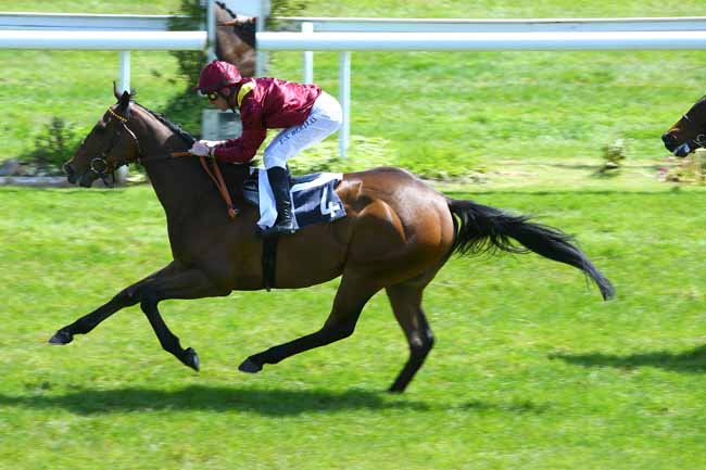Photo d'arrivée de la course pmu PRIX DE L'OFFICE DU TOURISME ET DES CONGRES BORDEAUX METROPOLE à BORDEAUX-LE BOUSCAT le Mardi 9 mai 2017