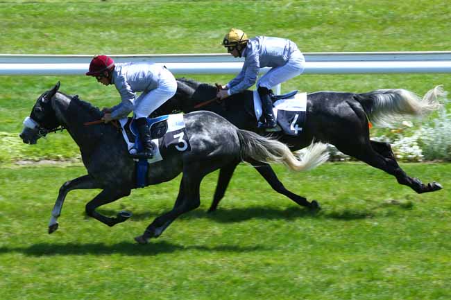 Photo d'arrivée de la course pmu PRIX DJERBA OUA à BORDEAUX-LE BOUSCAT le Mardi 9 mai 2017