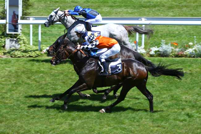 Photo d'arrivée de la course pmu PRIX DU TREMBLAY à BORDEAUX-LE BOUSCAT le Mardi 9 mai 2017
