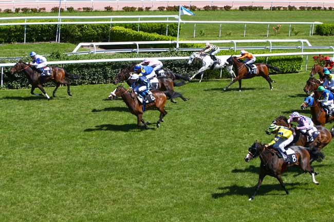 Photo d'arrivée de la course pmu PRIX DE LA VILLE DU BOUSCAT à BORDEAUX-LE BOUSCAT le Mardi 9 mai 2017