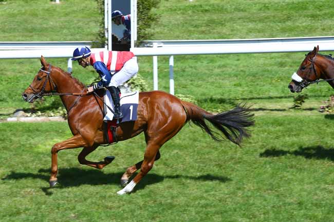 Photo d'arrivée de la course pmu CRITERIUM DES JEUNES A 37.5% à BORDEAUX-LE BOUSCAT le Mardi 9 mai 2017