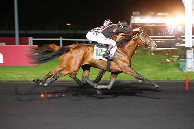 Photo d'arrivée de la course pmu PRIX FLORA à PARIS-VINCENNES le Mardi 9 mai 2017