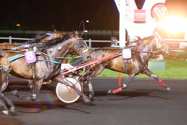Photo d'arrivée de la course pmu PRIX ANTARES à PARIS-VINCENNES le Mardi 9 mai 2017