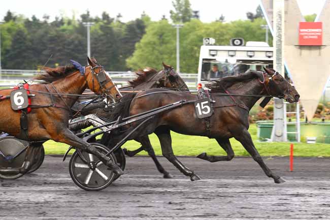 Photo d'arrivée de la course pmu PRIX LEO à PARIS-VINCENNES le Vendredi 12 mai 2017