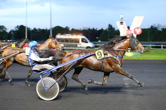 Photo d'arrivée de la course pmu PRIX EGERIA à PARIS-VINCENNES le Vendredi 12 mai 2017