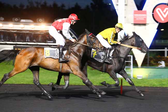 Photo d'arrivée de la course pmu PRIX ILMATHAR à PARIS-VINCENNES le Vendredi 12 mai 2017