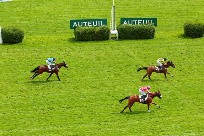 Photo d'arrivée de la course pmu PRIX REGALIA à AUTEUIL le Vendredi 12 mai 2017