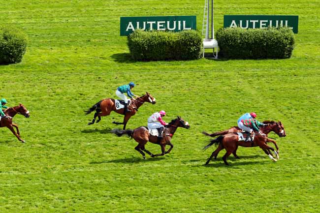Photo d'arrivée de la course pmu PRIX JASMIN II à AUTEUIL le Vendredi 12 mai 2017