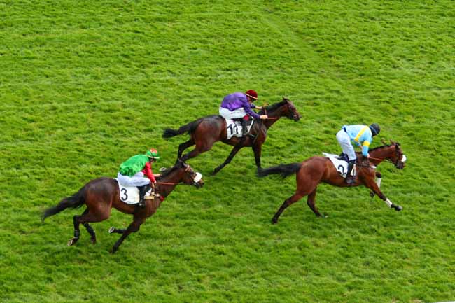 Photo d'arrivée de la course pmu PRIX DE POUILLY à AUTEUIL le Vendredi 12 mai 2017
