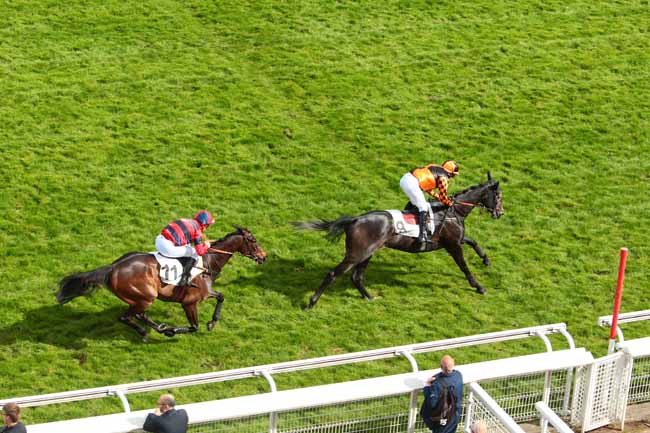 Photo d'arrivée de la course pmu PRIX DU VIVARAIS à AUTEUIL le Vendredi 12 mai 2017