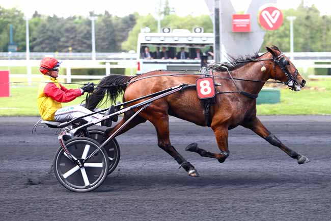 Photo d'arrivée de la course pmu PRIX DU PERREUX à PARIS-VINCENNES le Samedi 13 mai 2017