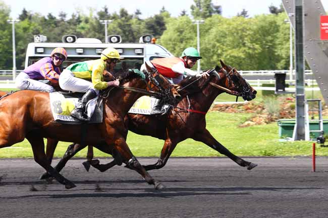 Photo d'arrivée de la course pmu PRIX GUILLAUME DE BELLAIGUE à PARIS-VINCENNES le Samedi 13 mai 2017