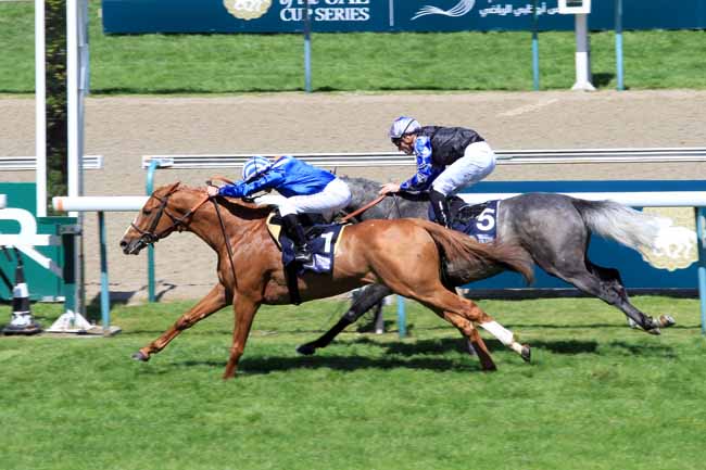 Photo d'arrivée de la course pmu THE PRESIDENT OF THE UAE CUP- COUPE D'EUROPE DES CHEVAUX ARABES à DEAUVILLE le Dimanche 14 mai 2017