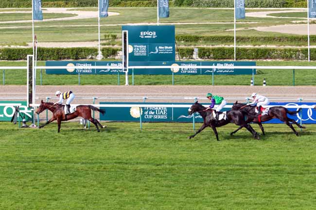 Photo d'arrivée de la course pmu PRIX DES MARRONNIERS à DEAUVILLE le Dimanche 14 mai 2017
