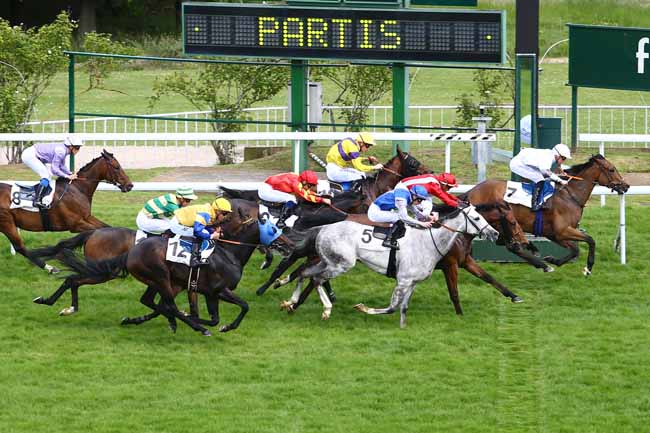 Photo d'arrivée de la course pmu PRIX D'ALSACE à SAINT-CLOUD le Lundi 15 mai 2017