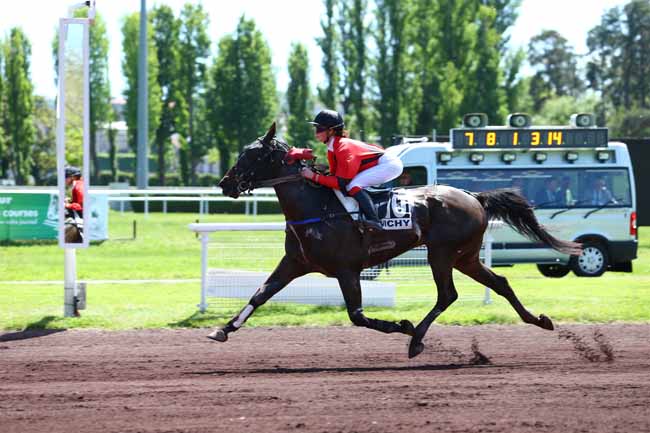 Photo d'arrivée de la course pmu PRIX DE MARINGUES à VICHY le Mardi 16 mai 2017
