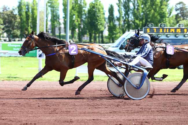 Photo d'arrivée de la course pmu PRIX D'ECHASSIERES à VICHY le Mardi 16 mai 2017