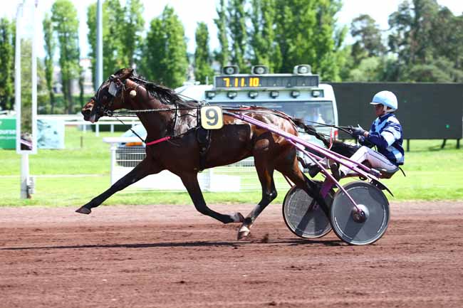 Photo d'arrivée de la course pmu PRIX DE MARCENAT à VICHY le Mardi 16 mai 2017
