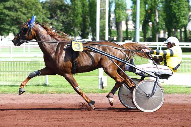 Photo d'arrivée de la course pmu PRIX DE SAINT-FELIX à VICHY le Mardi 16 mai 2017