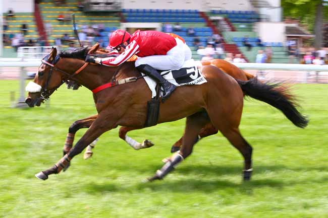 Photo d'arrivée de la course pmu PRIX ORVILLIERS à COMPIEGNE le Mardi 16 mai 2017