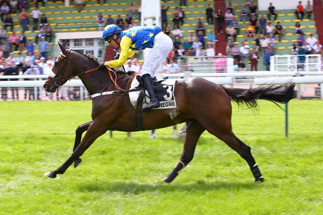 Photo d'arrivée de la course pmu PRIX EL PASO III à COMPIEGNE le Mardi 16 mai 2017