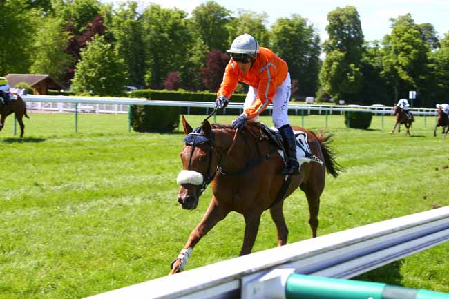Photo d'arrivée de la course pmu PRIX DU GRAND MARECHAL à COMPIEGNE le Mardi 16 mai 2017