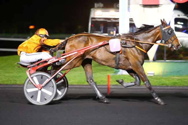 Photo d'arrivée de la course pmu PRIX KATHARINA à PARIS-VINCENNES le Mardi 16 mai 2017