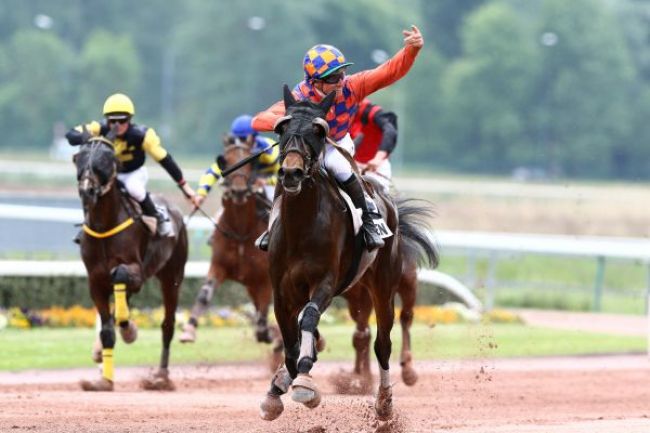 Photo d'arrivée de la course pmu SAINT-LEGER DES TROTTEURS à CAEN le Mercredi 17 mai 2017