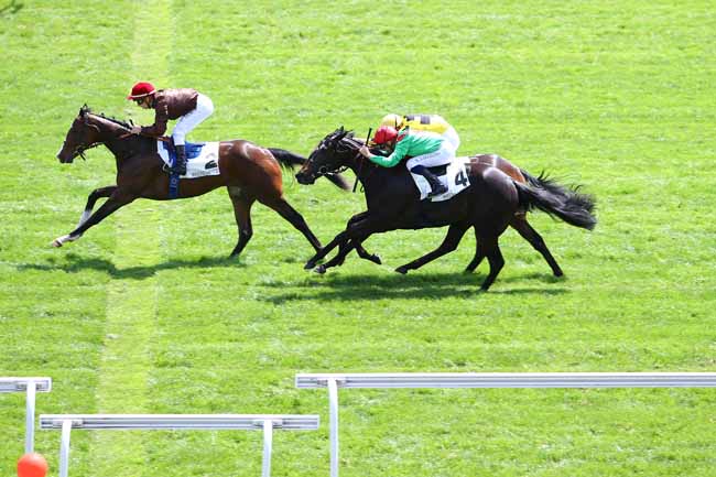 Photo d'arrivée de la course pmu PRIX ARISTON à MAISONS-LAFFITTE le Mercredi 17 mai 2017